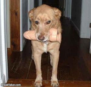 Sempre loro i migliori amici...