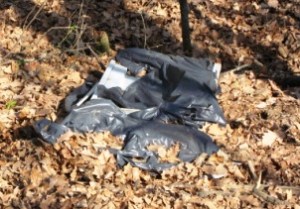 Sì sì buttate pure lì, qualche santo provvederà!