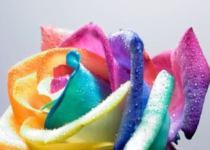 Sì, così va meglio eh...