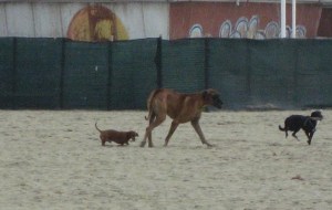 In questa stagione lo spazio è tutto per loro :-D