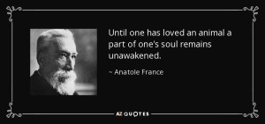 quote-until-one-has-loved-an-animal-a-part-of-one-s-soul-remains-unawakened-anatole-france-10-10-27