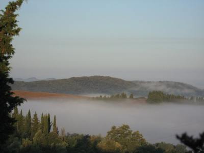 Ovatta di soffice bruma