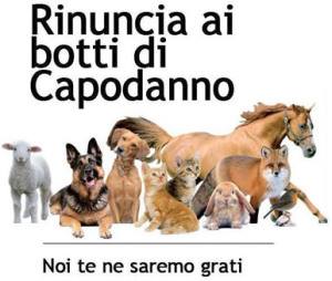 1936868_1141234779222760_4110109930917751865_n