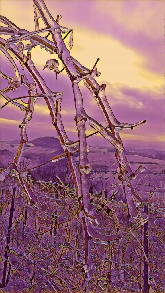 IMG_20171216_003417_processed