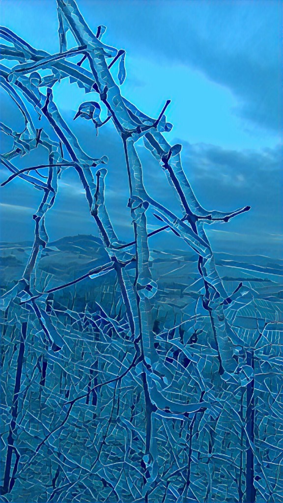 IMG_20171216_003604_processed