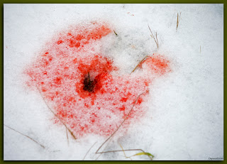 3a Bloed 31 december_